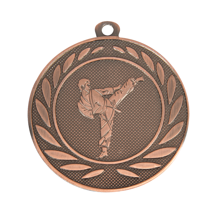 BRONZE MARTIAL ARTS 50MM MEDAL 